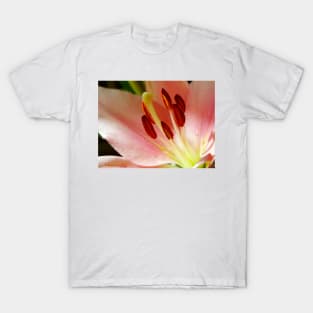 Close up of a Lily T-Shirt